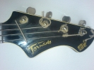 foto-jolana-tornado-bass03-bd161a0b2ba50efeafa21cbb60a48ea6_thumb.jpg