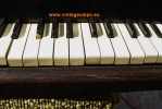 foto-12-3a126a9419d92249d72bafbf46c61778_thumb.jpg
