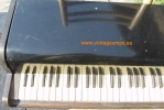 foto-5-f92683a005e6bdc115c3dfd8714df07b_thumb.jpg